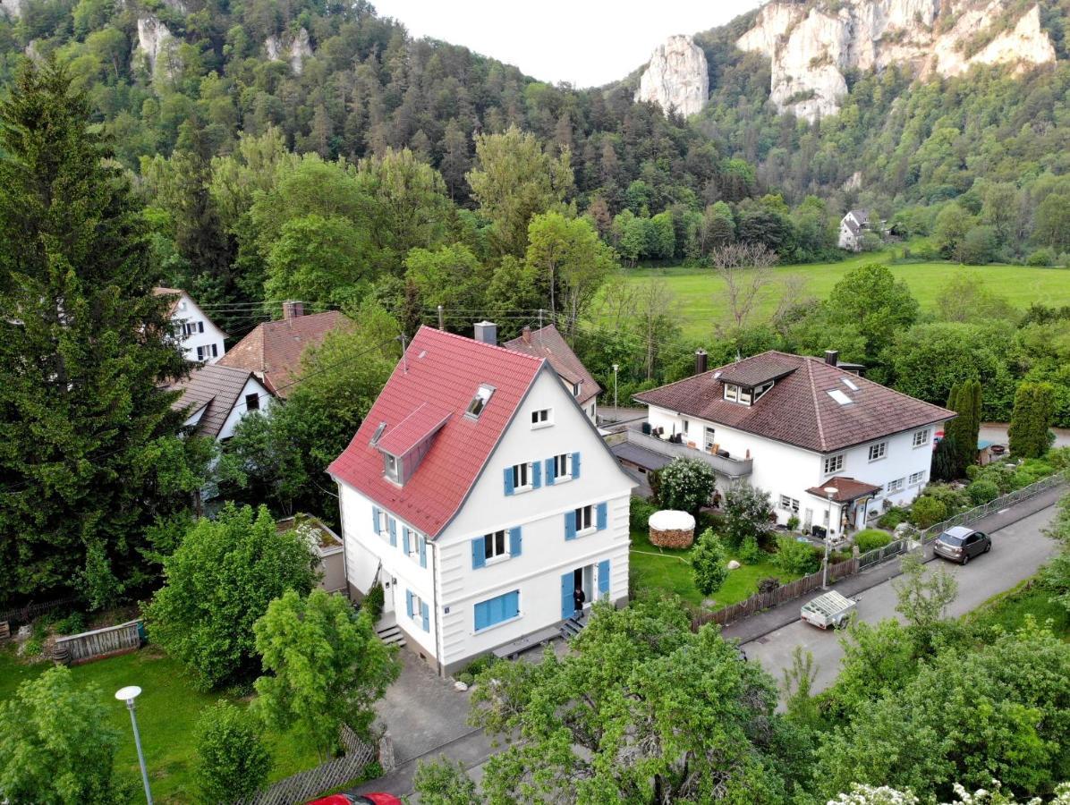 Apartamento Zwergdackeladlerhirsch Beuron Exterior foto